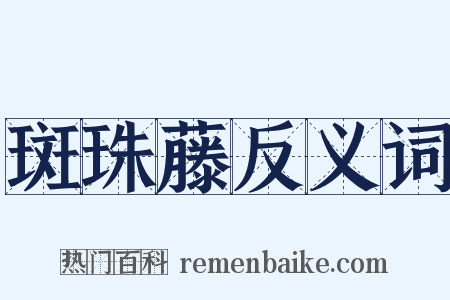 斑珠藤反义词是什么意思的图片